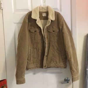 Unisex Beige corduroy Jacket